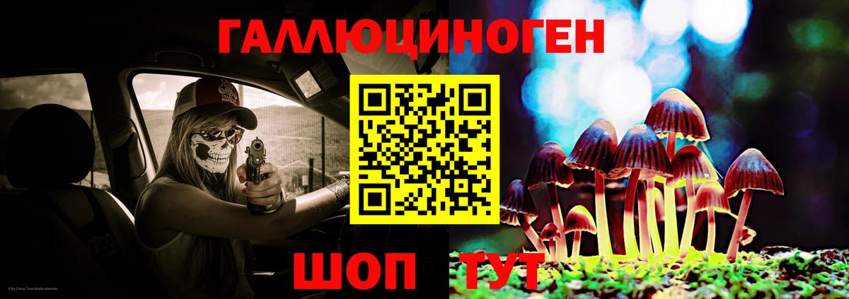 Галлюциногенные грибы Cubensis Новокубанск